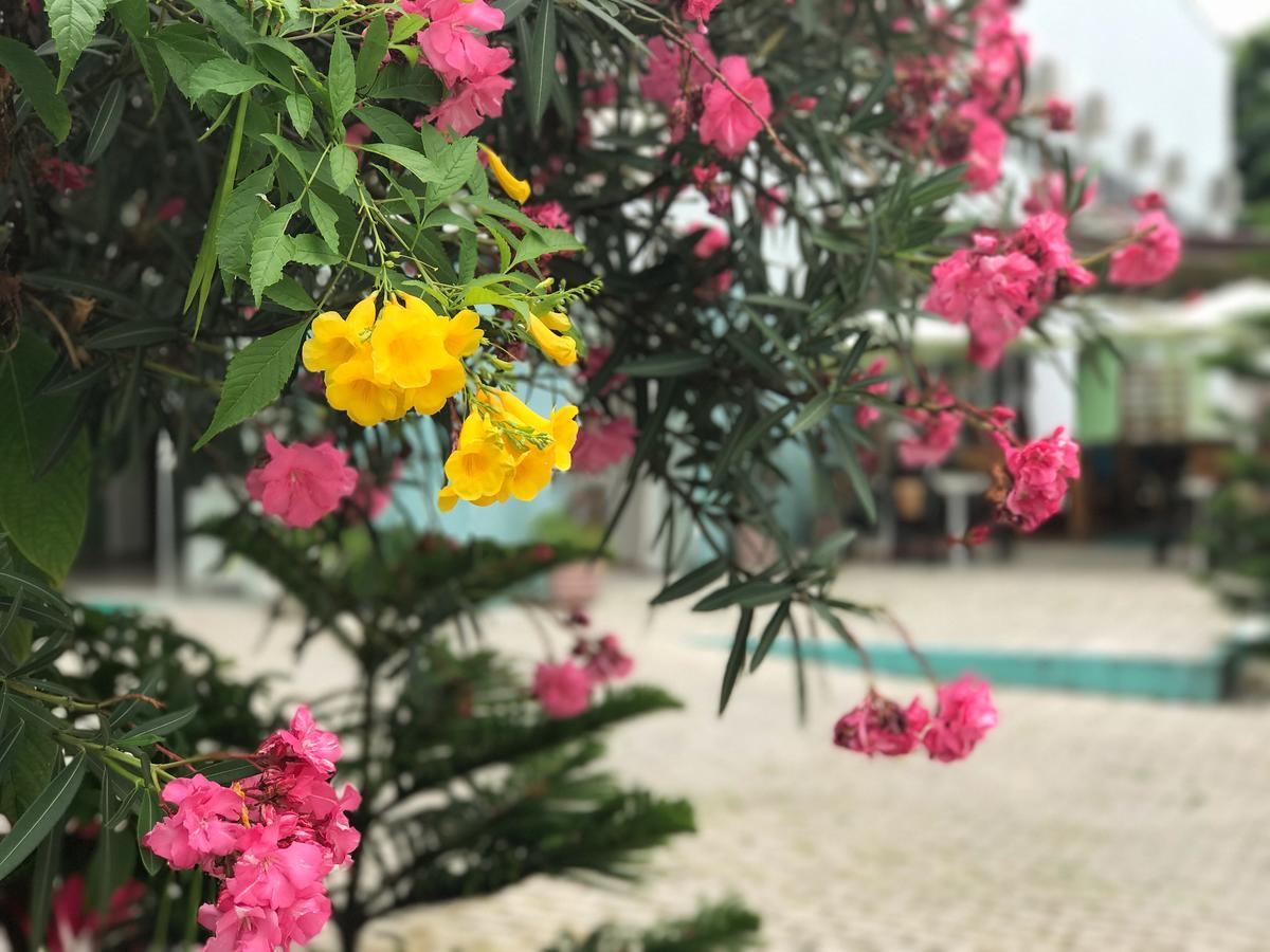 Scenarium Hotel Jaboatao dos Guararapes Bagian luar foto
